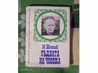 Soarta omului. Povestiri din Don - Șolohov