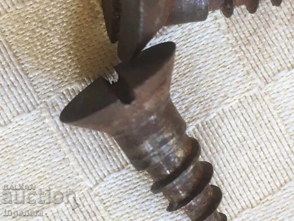 VISION WOOD SCREW CONE LARGE THREAD - 4 PCS - 5 VISION WOOD SCREW CONE LARGE THREAD - 4 PCS - 5