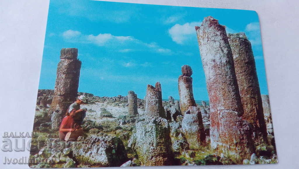 Пощенска картичка Варна Местността Побити камъни 1977