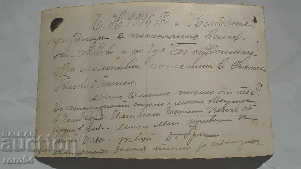 PINE - KORIA - STATE FORESTRY - 5