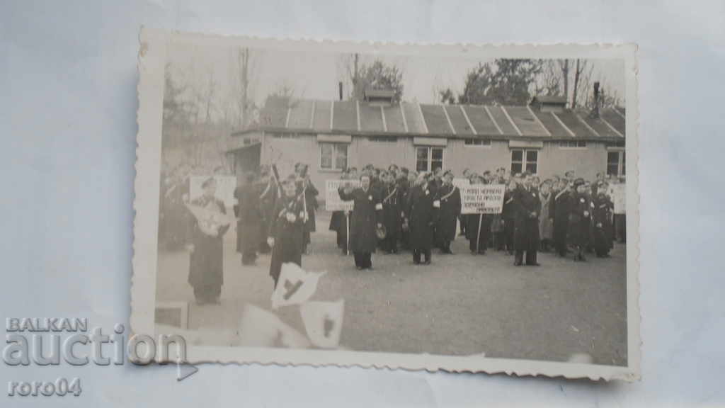 PIROT - DAY OF THE RED CROSS - 6