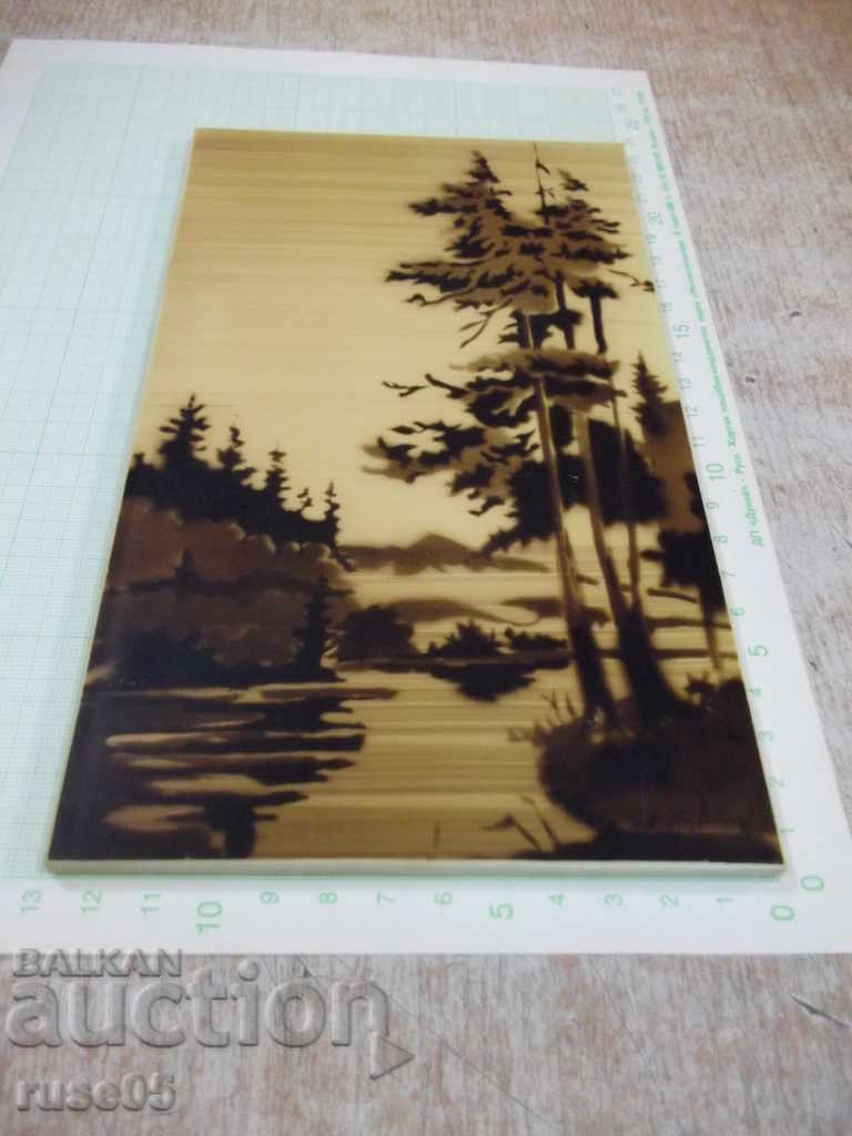 Plastic Soviet panel - 1 with price 7.00 BGN | € 3.58 Plastic Soviet panel - 1 with price 7.00 BGN | € 3.58