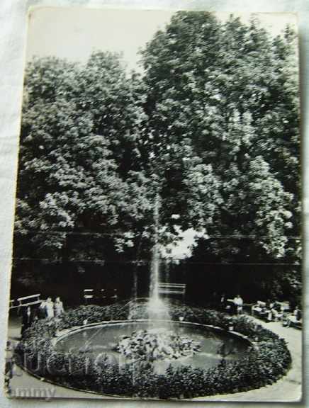 Стара картичка изглед Вършец паркът