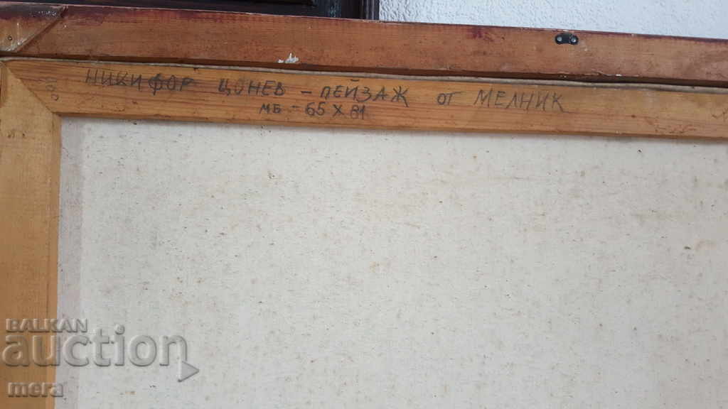 Author's picture - Nikifor Tsonev - 5 Author's picture - Nikifor Tsonev - 5