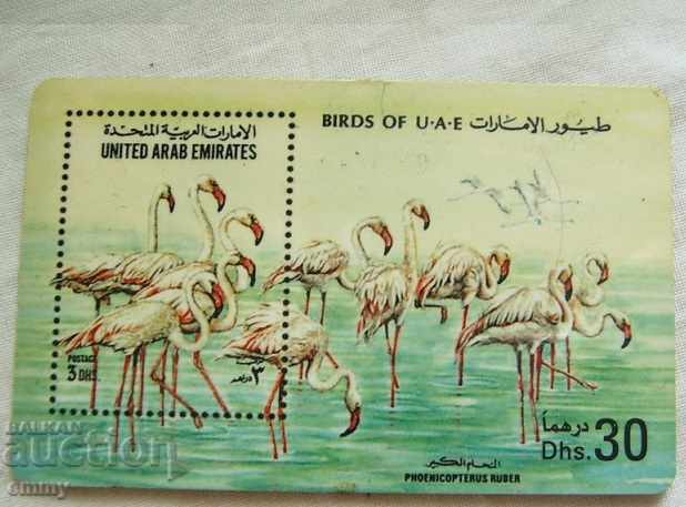 Calling card United Arab Emirates UAE birds