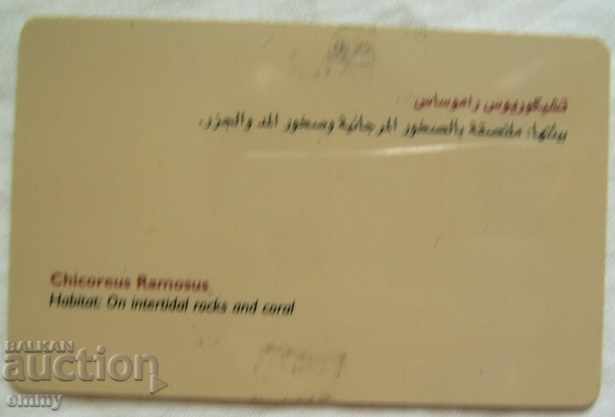 Phonecard United Arab Emirates UAE with price 4.00 BGN | € 2.05 Phonecard United Arab Emirates UAE with price 4.00 BGN | € 2.05