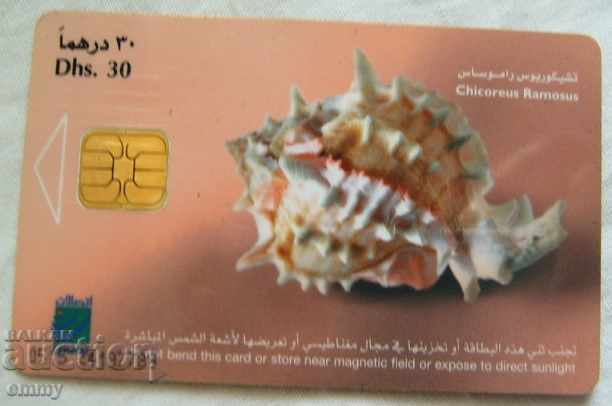 Phonecard Emiratele Arabe Unite Emiratele Arabe Unite