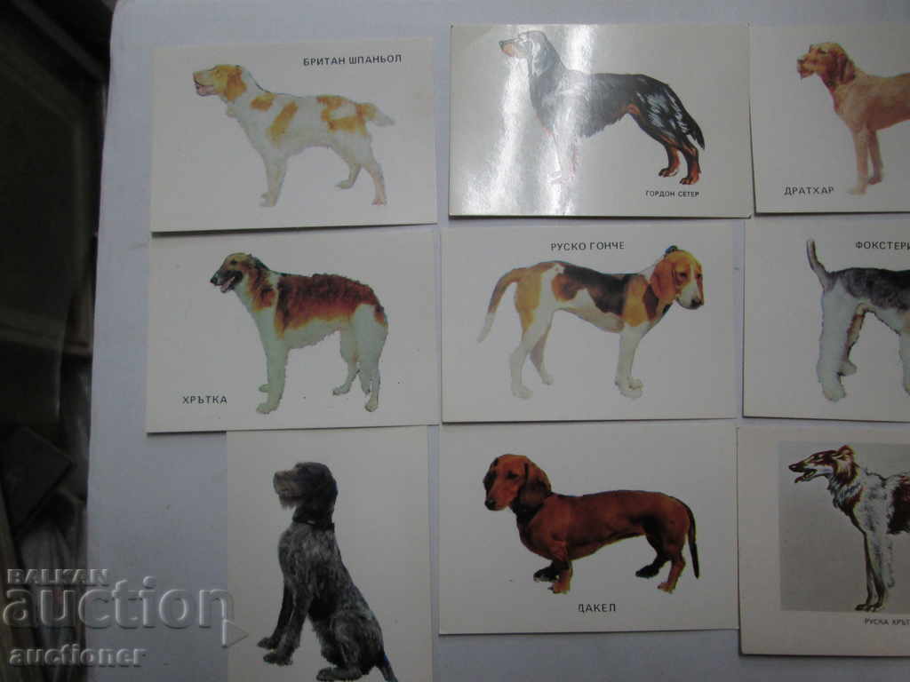 Auction LOT OF 9 CALENDARS THEMES BREEDS OF DOGS Auction LOT OF 9 CALENDARS THEMES BREEDS OF DOGS