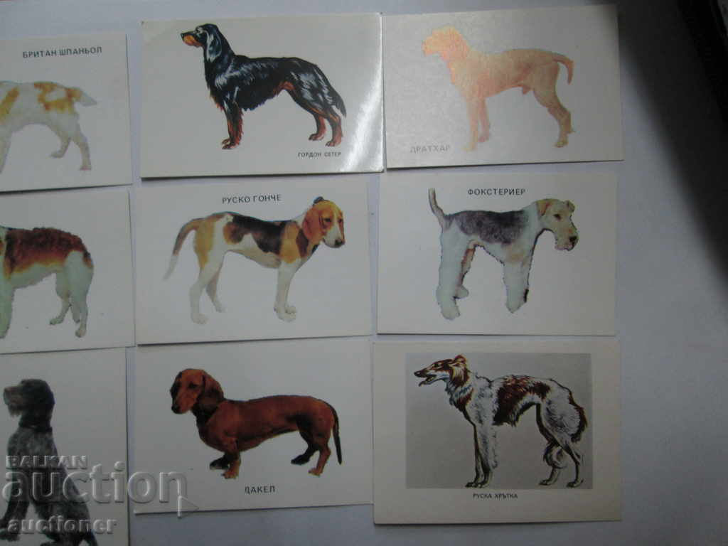 Delivery of LOT OF 9 CALENDARS THEMES BREEDS OF DOGS Delivery of LOT OF 9 CALENDARS THEMES BREEDS OF DOGS