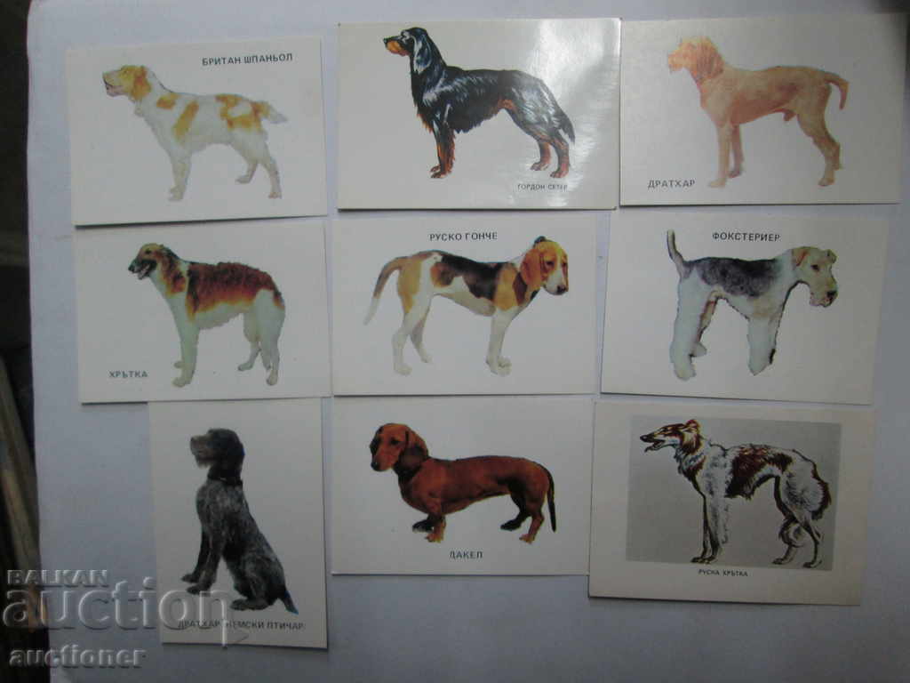 LOT OF 9 CALENDARS THEMES BREEDS OF DOGS - 5 LOT OF 9 CALENDARS THEMES BREEDS OF DOGS - 5