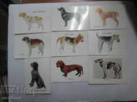 LOT OF 9 CALENDARS THEMES BREEDS OF DOGS