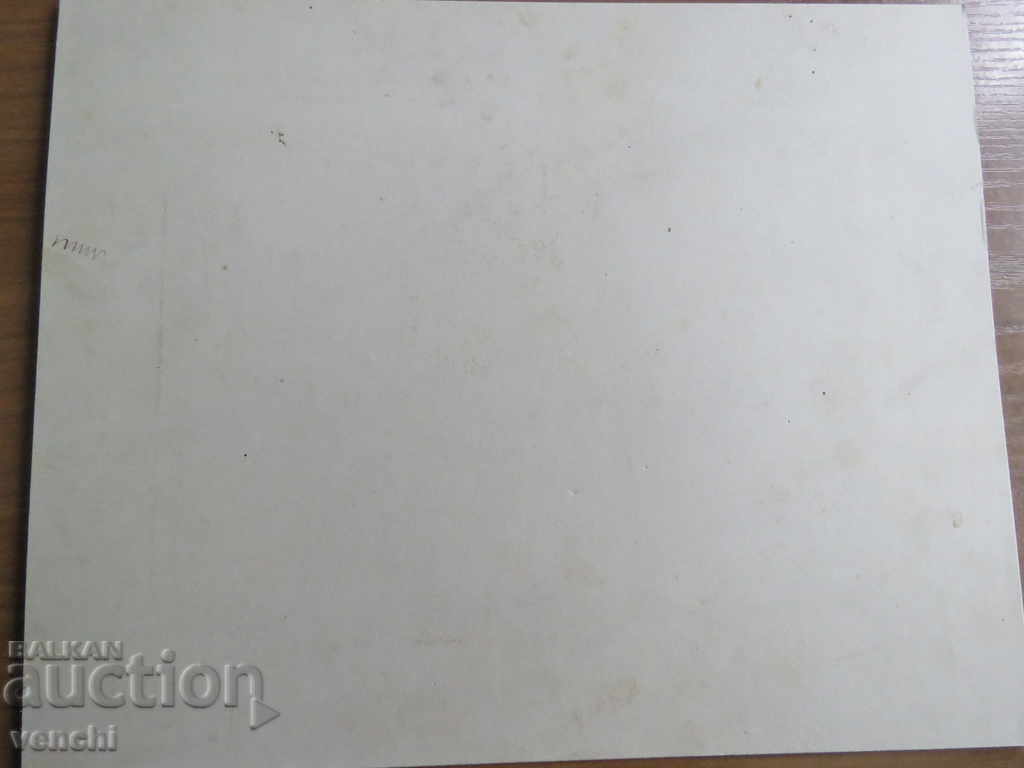 Delivery of OLD PHOTO - CARDBOARD - LARGE - GABBROVO - 1905 Delivery of OLD PHOTO - CARDBOARD - LARGE - GABBROVO - 1905