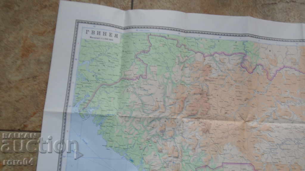 Licitație GUINEEA Licitație GUINEEA
