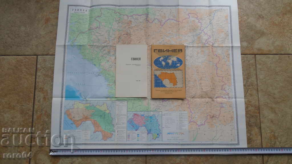 GUINEA - 7 GUINEA - 7