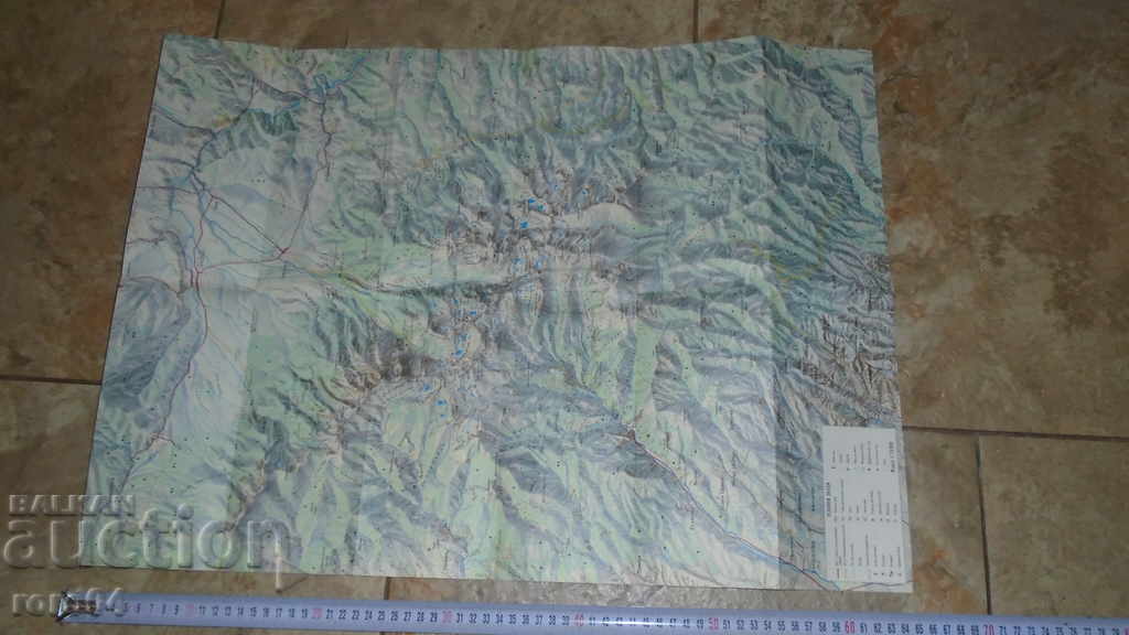 Delivery of PIRIN Delivery of PIRIN