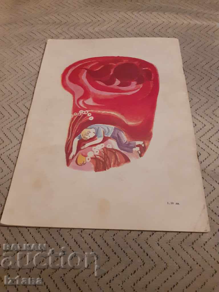 Children's book The Stone Girl - 5