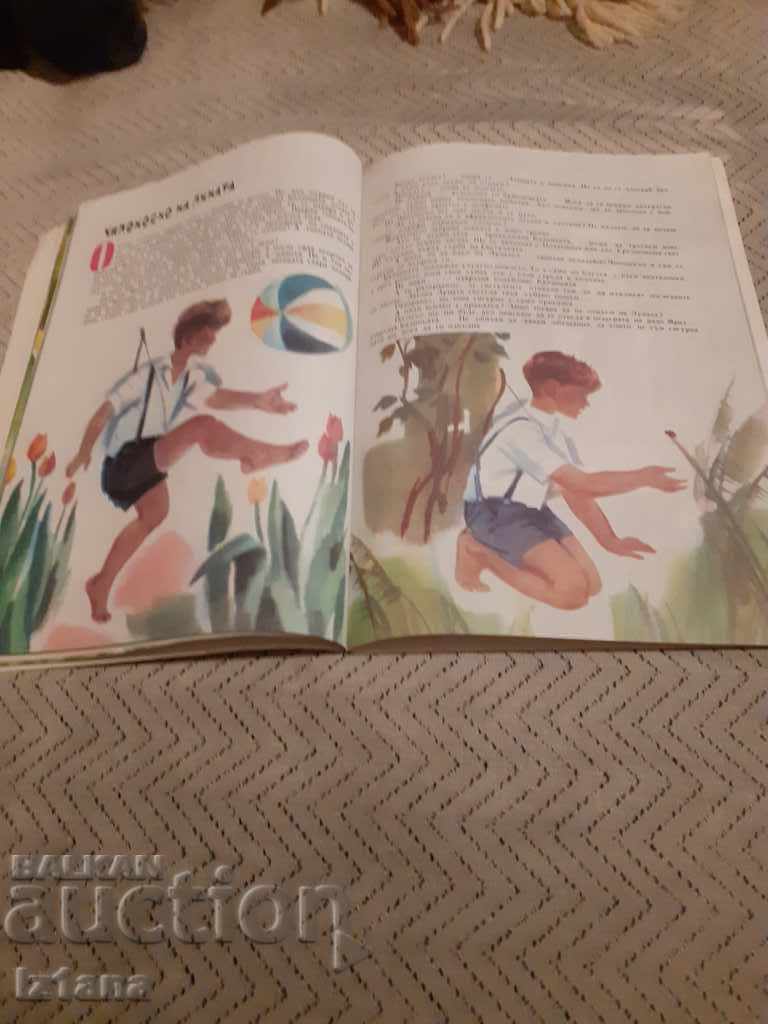 Auction Children's Book The Adventures of Chiponosko Auction Children's Book The Adventures of Chiponosko