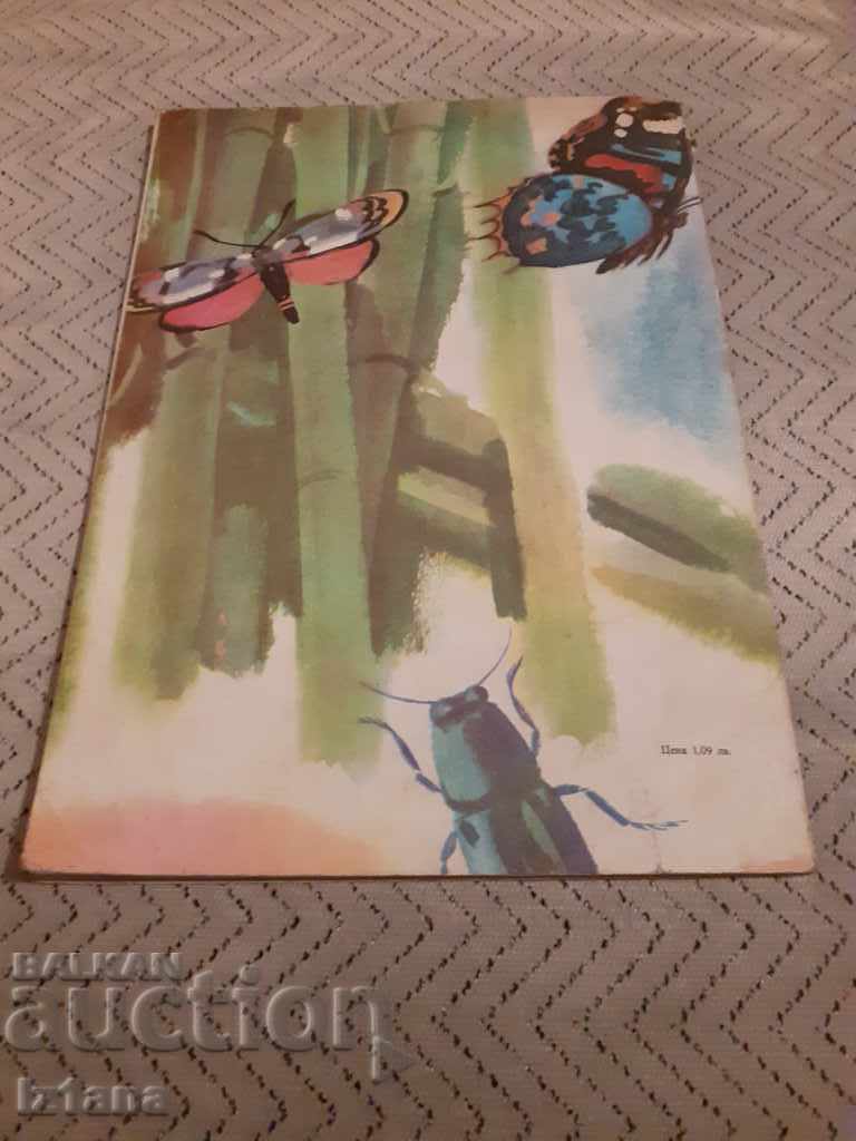 Children's Book The Adventures of Chiponosko - 5 Children's Book The Adventures of Chiponosko - 5