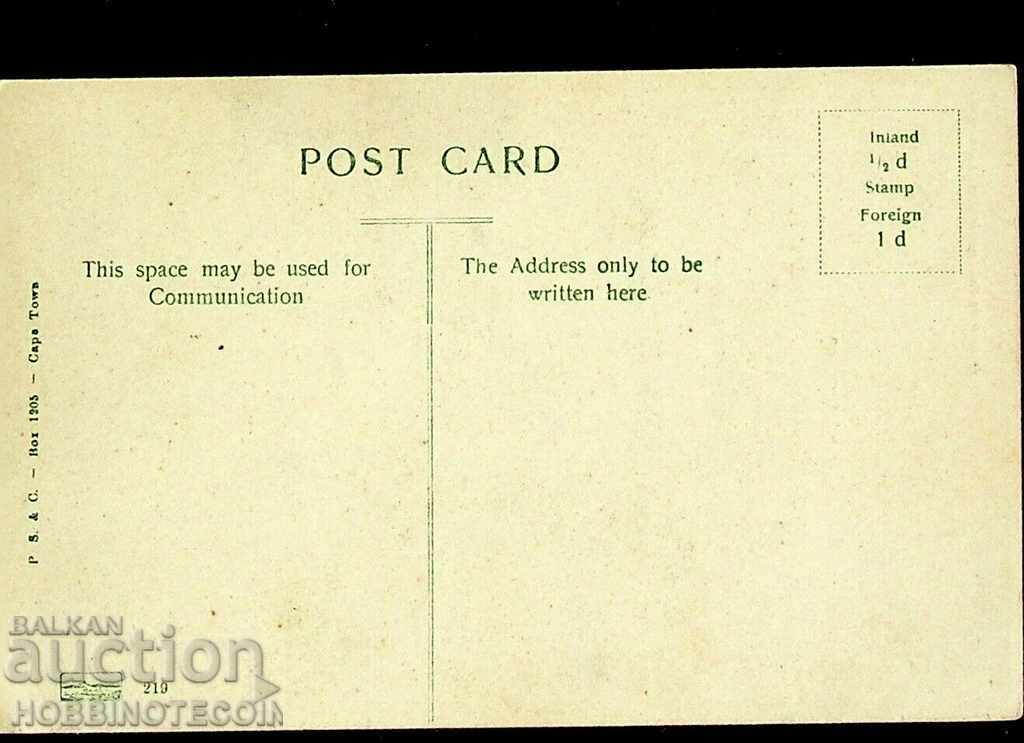UNUSED CARD - STRAUS - SOUTH AFRICA before 1930 with price 9.99 BGN | € 5.11 UNUSED CARD - STRAUS - SOUTH AFRICA before 1930 with price 9.99 BGN | € 5.11