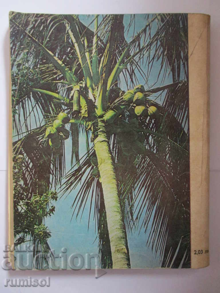 Аукцион Тайфун над Манила - Денеш Балаж