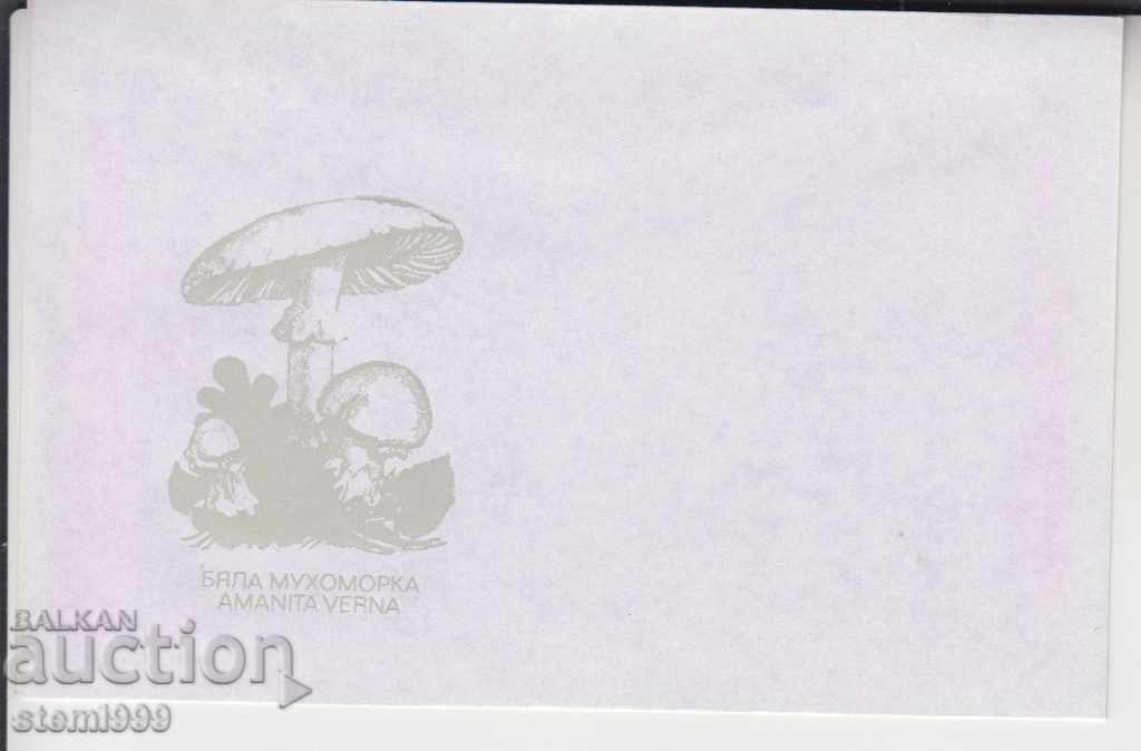Envelope Mushrooms