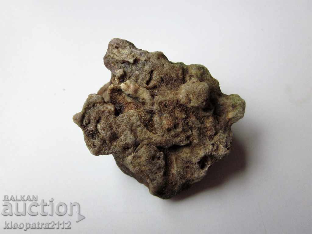 Delivery of FOSSIL CORAL - VERY RARE AND BEAUTIFUL. Delivery of FOSSIL CORAL - VERY RARE AND BEAUTIFUL.