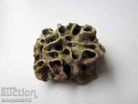 FOSSIL CORAL - VERY RARE AND BEAUTIFUL.