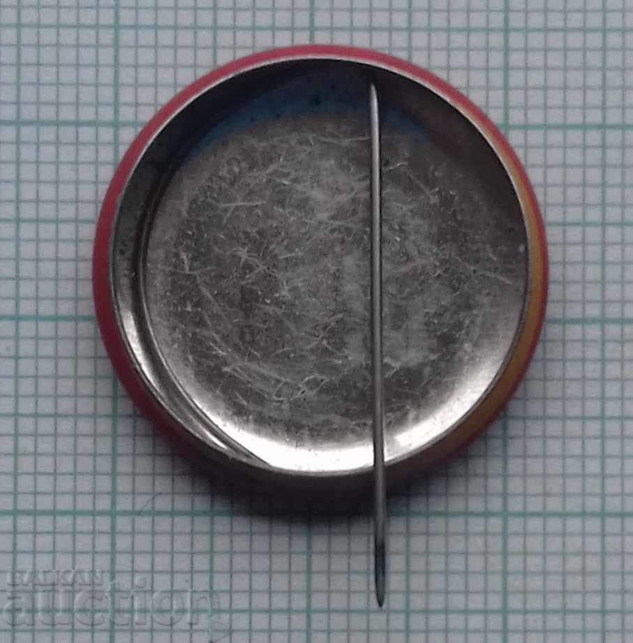 Auction 8823 Badges Auction 8823 Badges