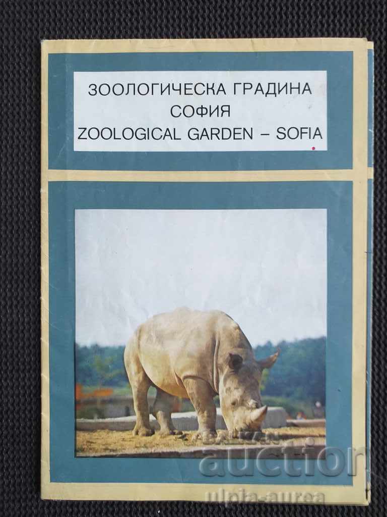 Broșură socială Sofia