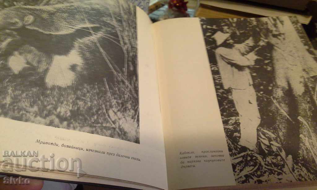 Τα ψάρια τραγουδούν στο Ukayali - 6 Τα ψάρια τραγουδούν στο Ukayali - 6