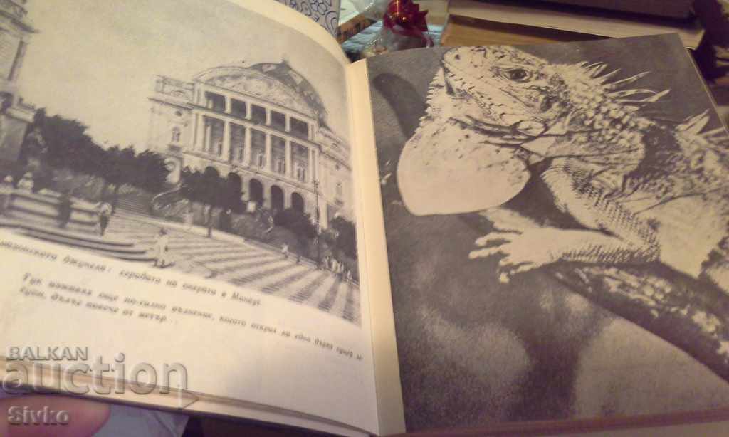 Τα ψάρια τραγουδούν στο Ukayali - 7 Τα ψάρια τραγουδούν στο Ukayali - 7