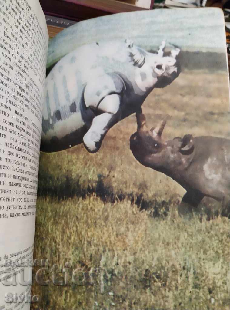 Auction Among the Animals of Africa Prof. Bernhard Grzimek Auction Among the Animals of Africa Prof. Bernhard Grzimek