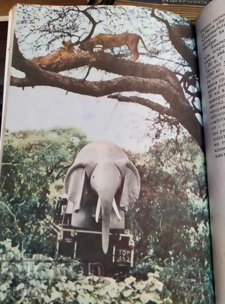 Delivery of Among the Animals of Africa Prof. Bernhard Grzimek Delivery of Among the Animals of Africa Prof. Bernhard Grzimek