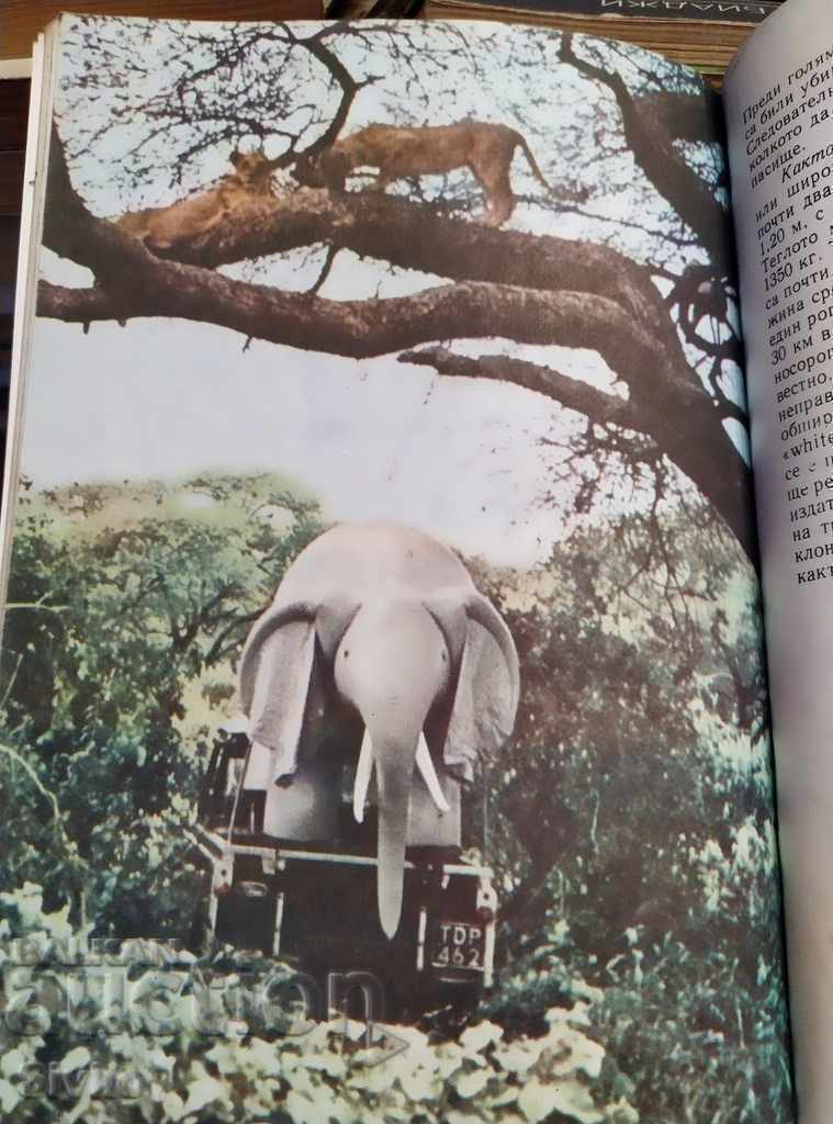 Livrarea Printre animalele Africii Prof. Bernhard Grzimek Livrarea Printre animalele Africii Prof. Bernhard Grzimek