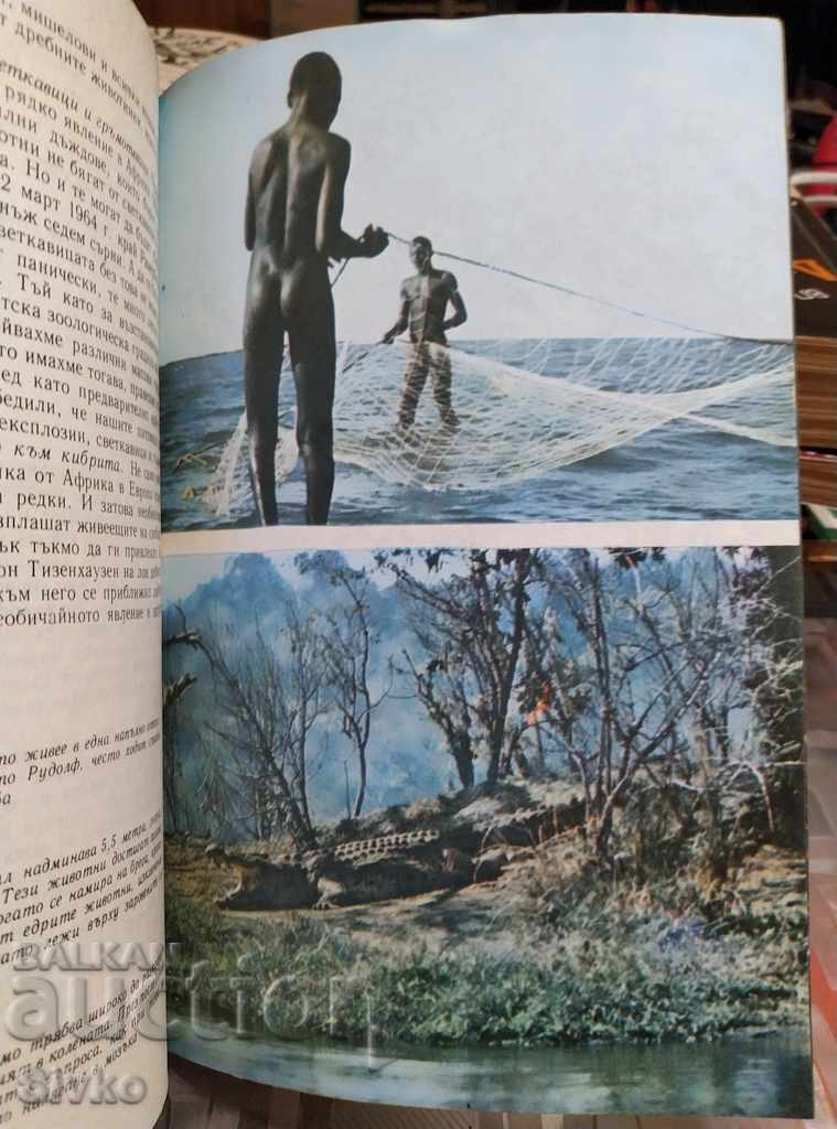 Among the Animals of Africa Prof. Bernhard Grzimek - 5 Among the Animals of Africa Prof. Bernhard Grzimek - 5