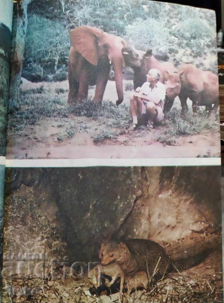 Among the Animals of Africa Prof. Bernhard Grzimek - 6 Among the Animals of Africa Prof. Bernhard Grzimek - 6