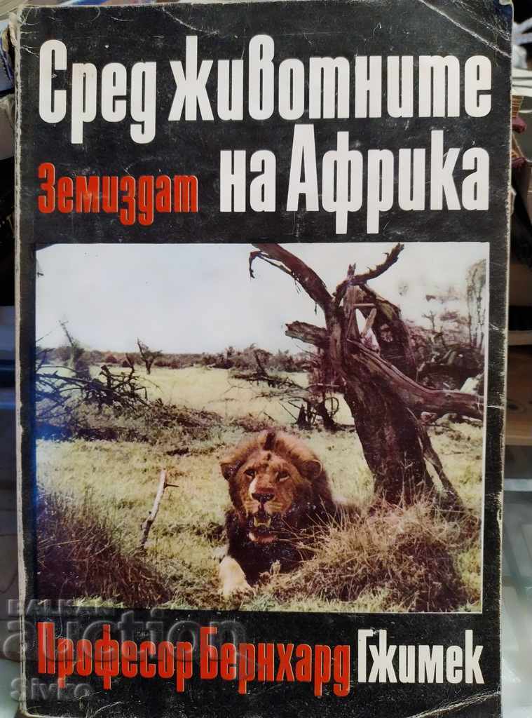 Among the Animals of Africa Prof. Bernhard Grzimek Among the Animals of Africa Prof. Bernhard Grzimek