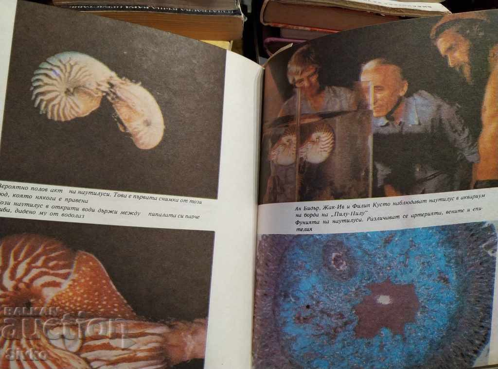 Delivery of Jacques-Yves Cousteau's Octopuses First Edition