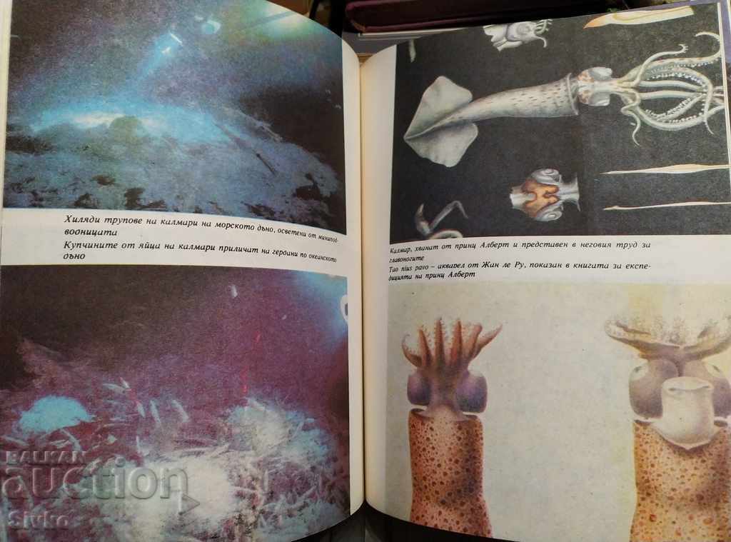 Octopus Jacques-Yves Cousteau first edition - 7 Octopus Jacques-Yves Cousteau first edition - 7