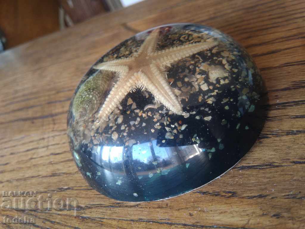 SEABED cu preț 5.00 BGN | € 2.56