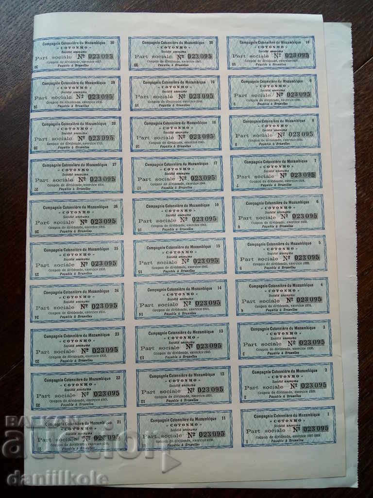 Auction * $ * Y * $ * COTONNIER COMPAGNIES OF MOZAMBIQUE 1927 * $ * Y * $ * Auction * $ * Y * $ * COTONNIER COMPAGNIES OF MOZAMBIQUE 1927 * $ * Y * $ *