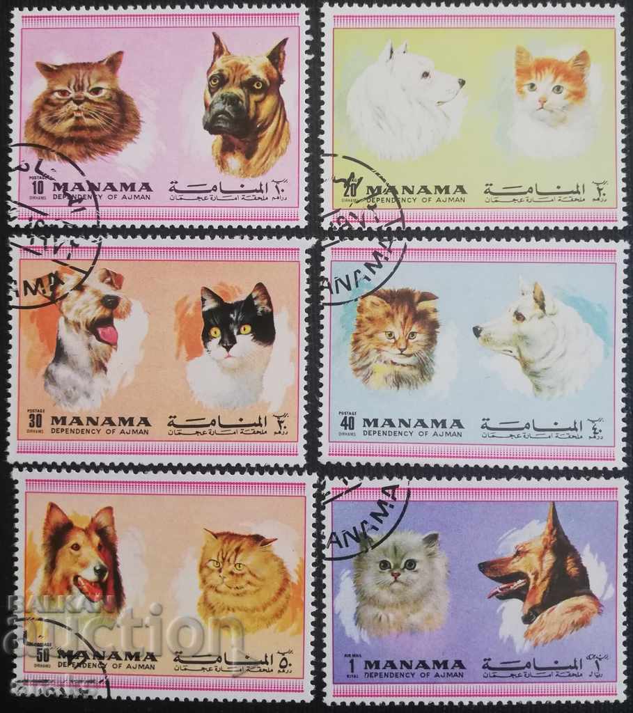 Манама 1972г. - Домашни котки и кучета
