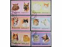 Μανάμα 1972 - Οικόσιτες γάτες και σκύλοι