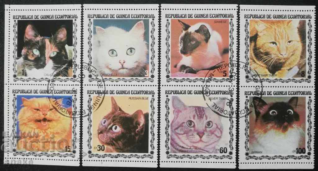 Equatorial Guinea 1979 - Domestic cats