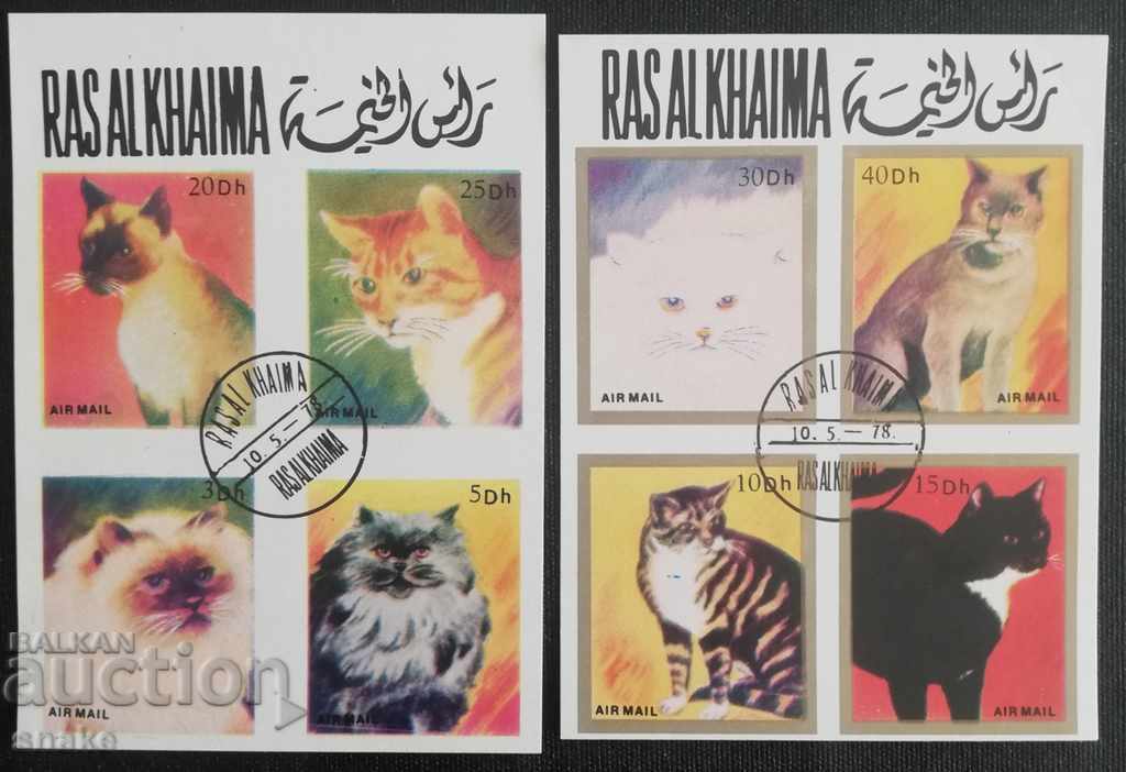 Рас Ал Хайма -  Домашни котки