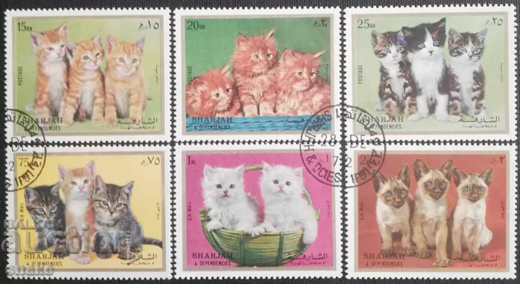 Cartoons 1972 - Domestic cats