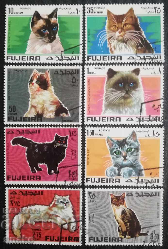 Fujairah 1967 - Domestic cats
