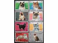 Φουτζάιρα 1967 - Οικόσιτες γάτες