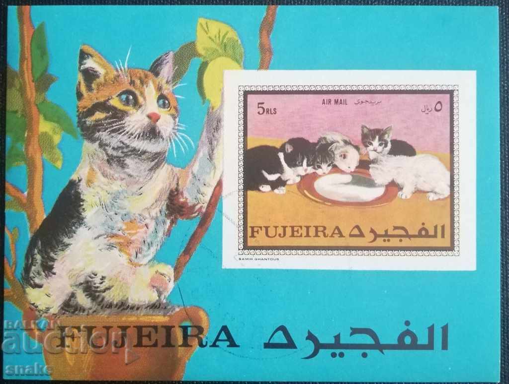 Fujairah 1970 - Pisici domestice
