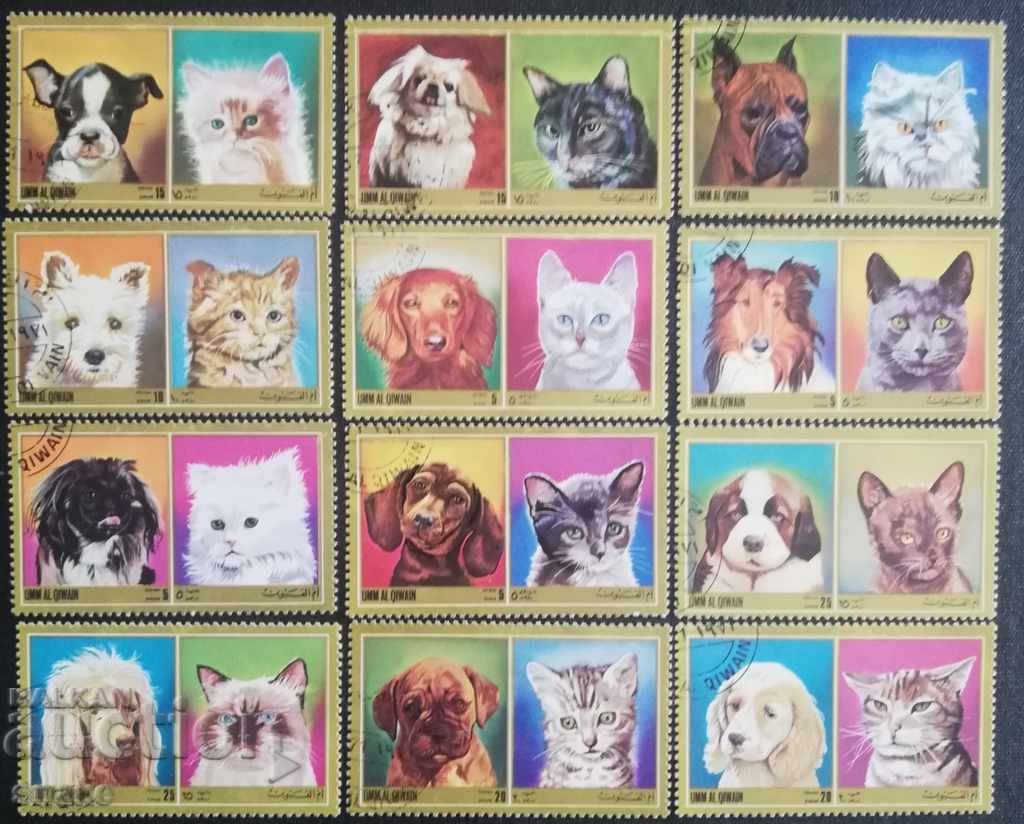 Ουμ Κουίν 1972 - Οικόσιτες γάτες και σκύλοι